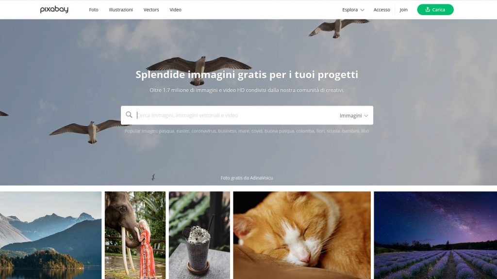 migliori siti di immagini gratis pixabay